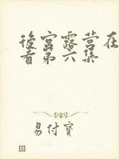 后宫露营在线观看第六集