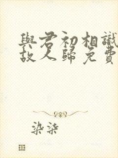 与君初相识犹如故人归免费