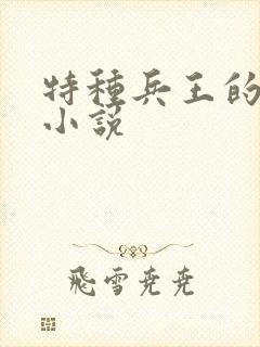 特种兵王的全部小说