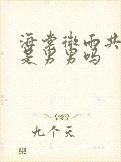 海棠微雨共归途是男男吗