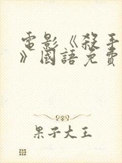 电影《杀手风雷》国语免费完整版在