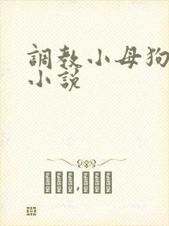 调教小母狗sm小说
