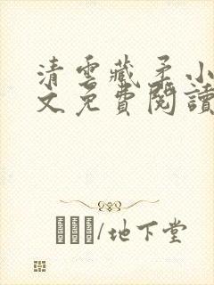 清云藏柔小说全文免费阅读封面