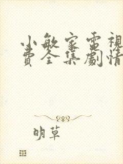 小敏家电视剧免费全集剧情