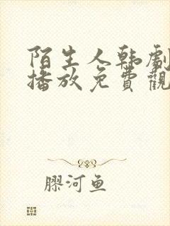 陌生人韩剧在线播放免费观看