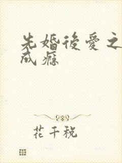 先婚后爱之宠妻成瘾