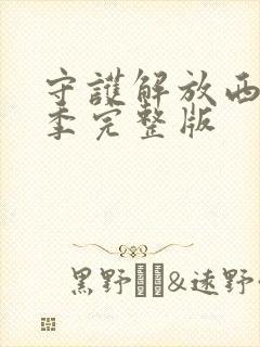 守护解放西第六季完整版封面