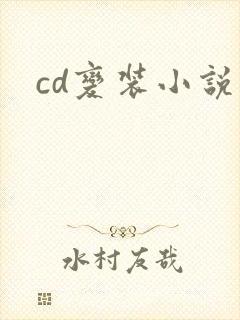 cd变装小说