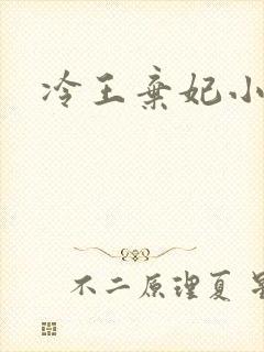 冷王弃妃小说封面