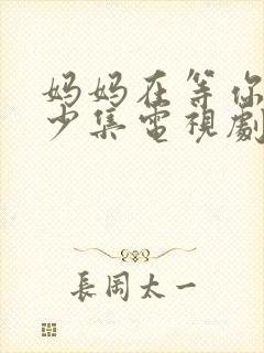 妈妈在等你有多少集电视剧