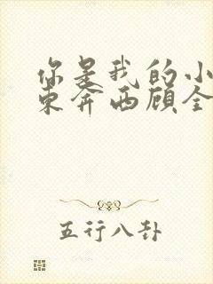 你是我的小确幸东奔西顾全文