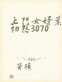 上门女婿叶辰萧初然3070
