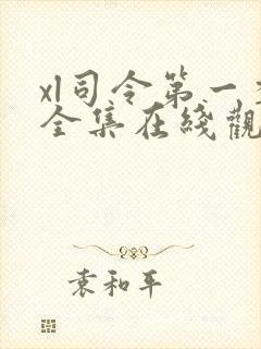 xl司令第一季全集在线观看完整版免费观看