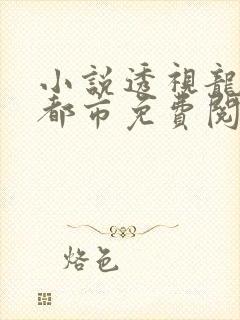 小说透视龙魂在都市免费阅读全文