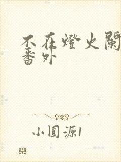 不在灯火阑珊处番外封面