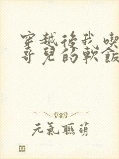 穿越后我吃到了哥儿的软饭炉山灰