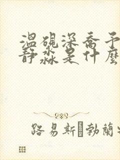 温砚深乔予安沈静淼是什么小说封面