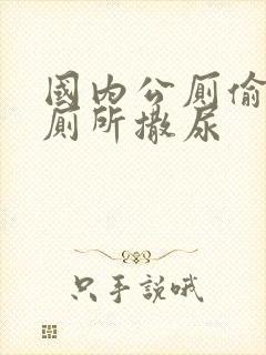 国内公厕偷拍女厕所撒尿