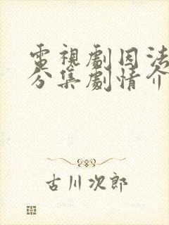 电视剧因法之名分集剧情介绍封面