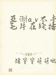 亚洲a v不卡毛片在线播放