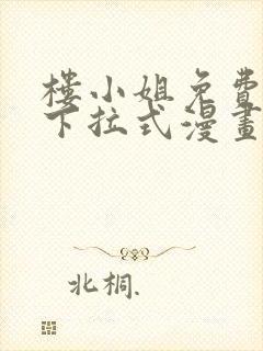 楼小姐免费阅读下拉式漫画