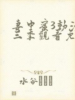 妻中蜜3动漫第三季观看免费封面