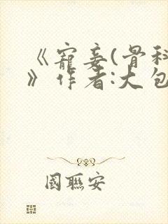 《宠妾(骨科)》作者:大包子
