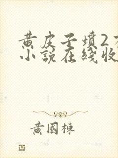 黄皮子坟2有声小说在线收听