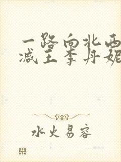 一路向北西无删减王李丹妮