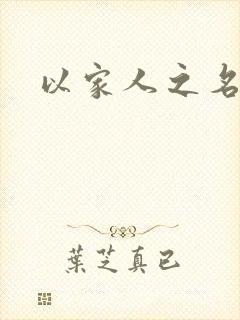 以家人之名小说封面