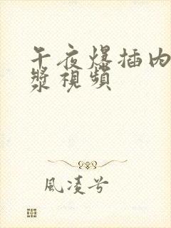 午夜爆插内射白浆视频