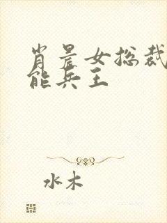 肖晨女总裁的全能兵王