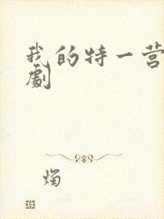 我的特一营电视剧