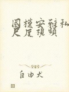 国模安雅私拍大尺度视频封面