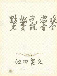 点燃我温暖你 免费观看全集