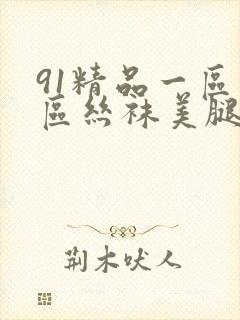 91精品一区二区丝袜美腿