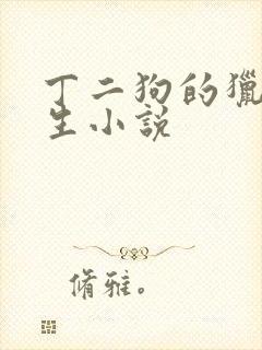 丁二狗的猎艳人生小说