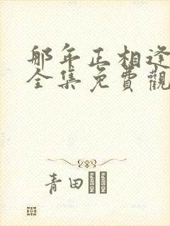 那年正相逢短剧全集免费观看封面