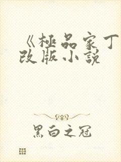 《极品家丁》八改版小说封面