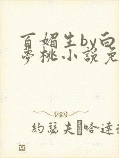 百媚生by白日梦桃小说免费阅读