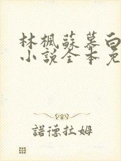 林枫苏慕白穿越小说全本免费阅读