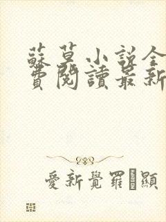 苏莫小说全文免费阅读最新章节封面