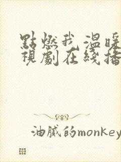 点燃我温暖你电视剧在线播放高清封面