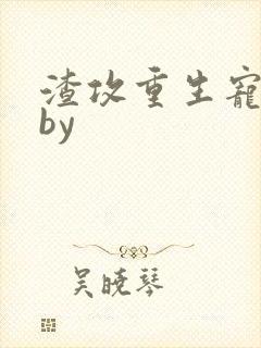 渣攻重生宠男妻by