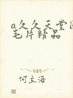 a久久天堂国产毛片精品