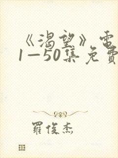 《渴望》电视剧1—50集免费播放