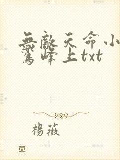 无敌天命小说青鸾峰上txt