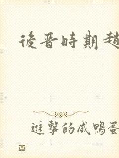 后晋时期赵匡胤封面