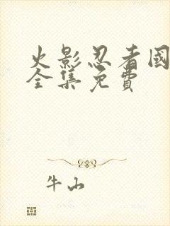 火影忍者国语版全集免费