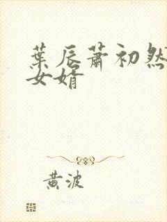 叶辰萧初然上门女婿